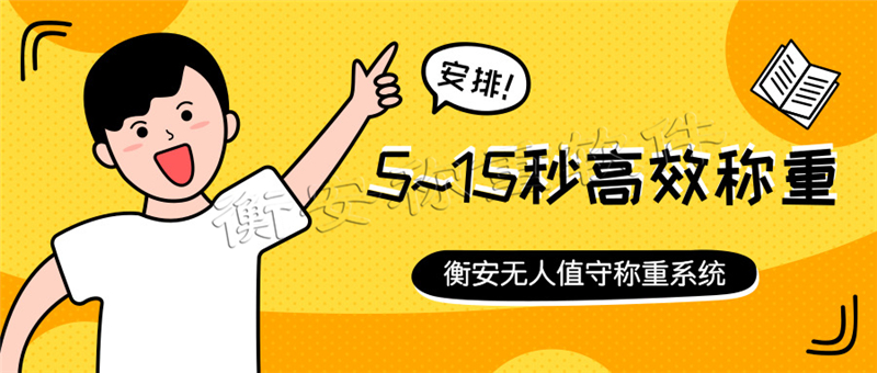 衡安地磅稱重軟件系統 (11)