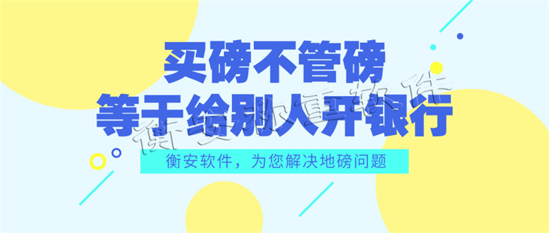 衡安地磅稱重軟件系統 (6)