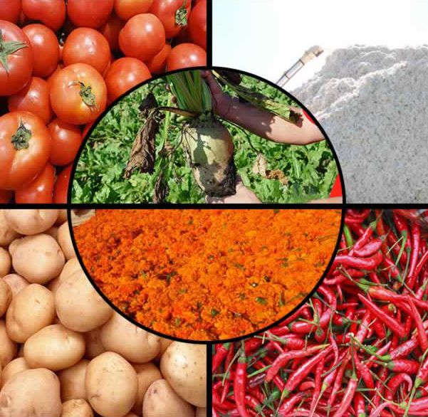 衡安無人值守稱重系統方案