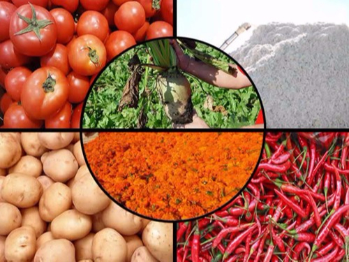 農產品收購企業稱重管理系統方案