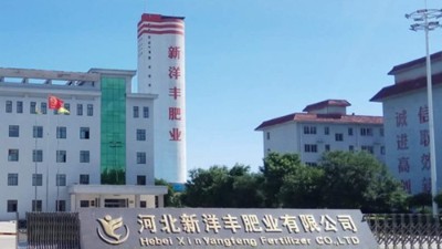 衡安軟件助力湖北新洋豐實現無人值守稱重系統