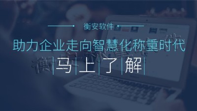 衡安稱重軟件完全杜絕人為因素造成的漏洞
