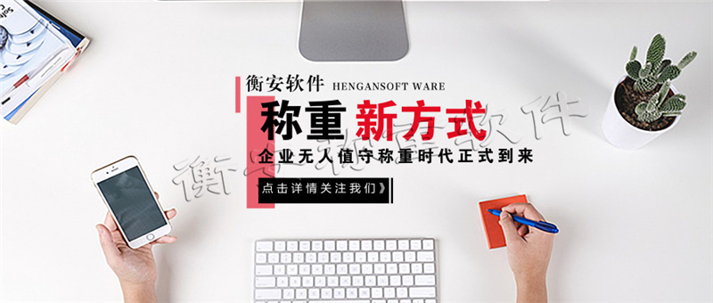 衡安地磅稱重軟件系統 (10)