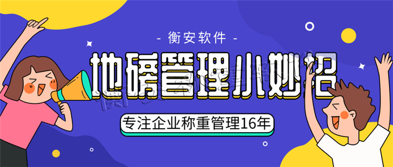 衡安地磅稱重軟件系統 (7)