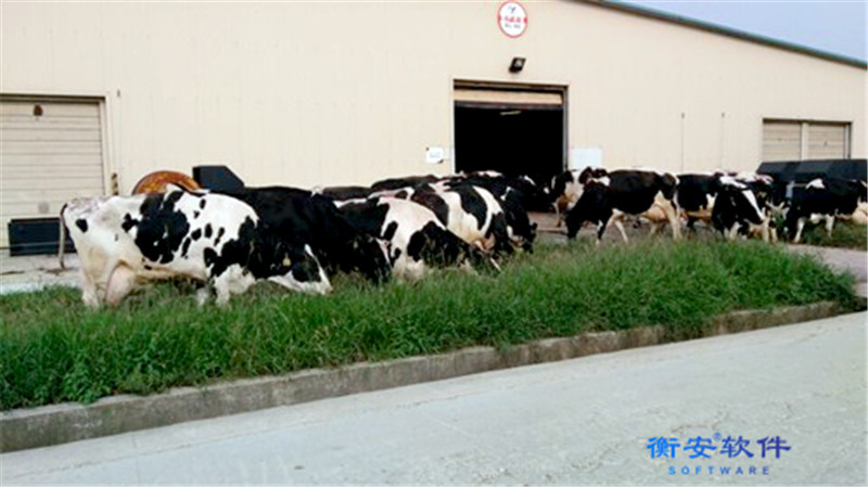 衡安無人值守稱重系統方案