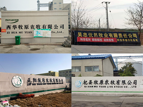 衡安無人值守稱重系統